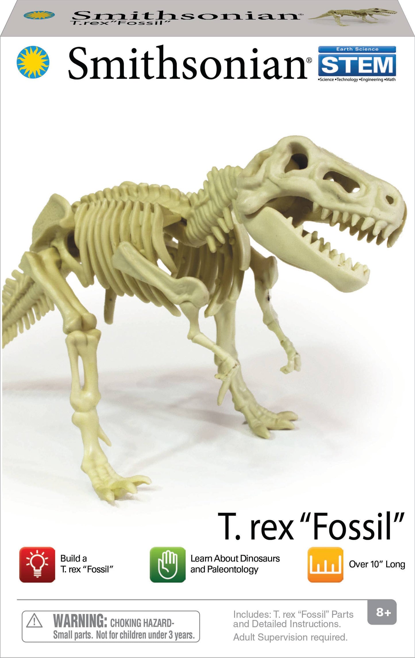 Smithsonian Dinosaur Fossils T-Rex Value Set