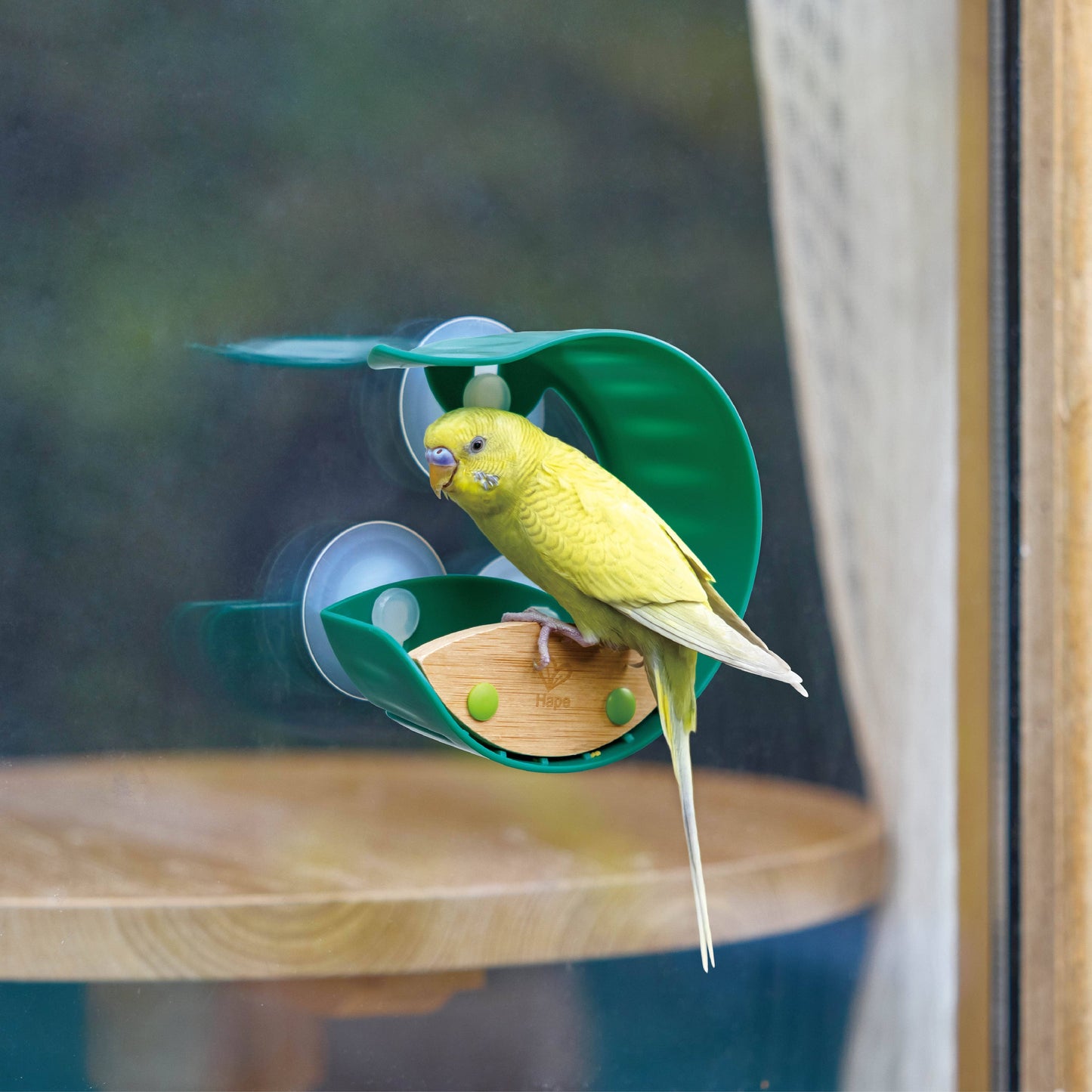 Window Bird Feeder