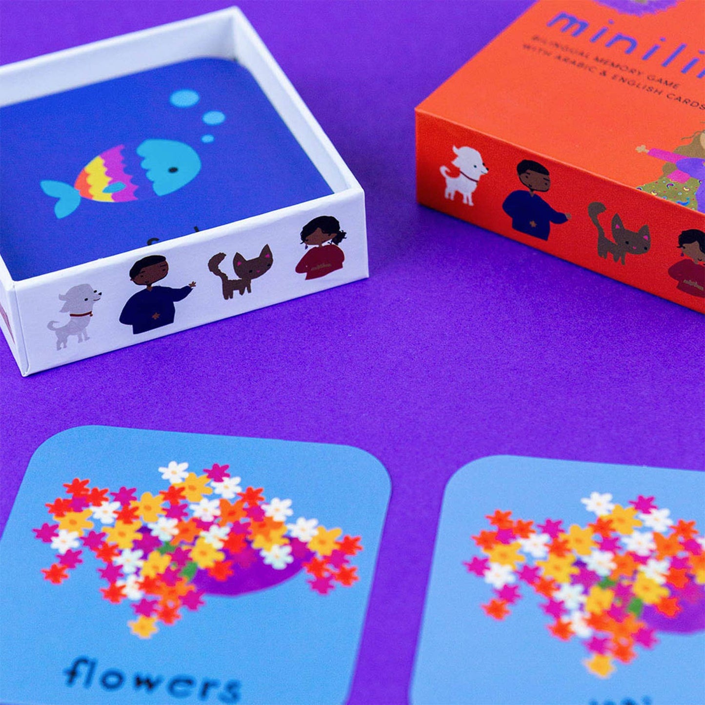 Minilingo Arabic/English Bilingual Flashcards for Kids