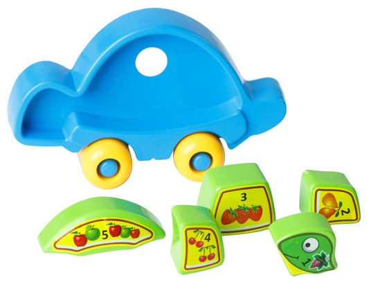 Educational Toy "Turtle Mind" in a Box, Tigres