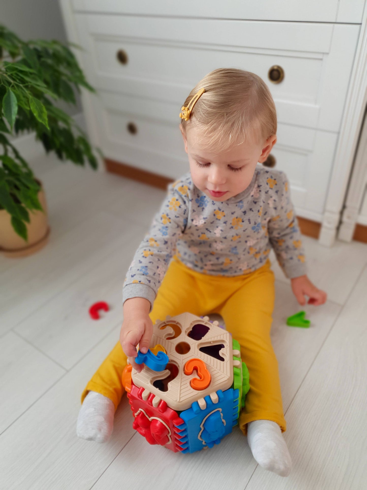 Toy Sorter, Tigres
