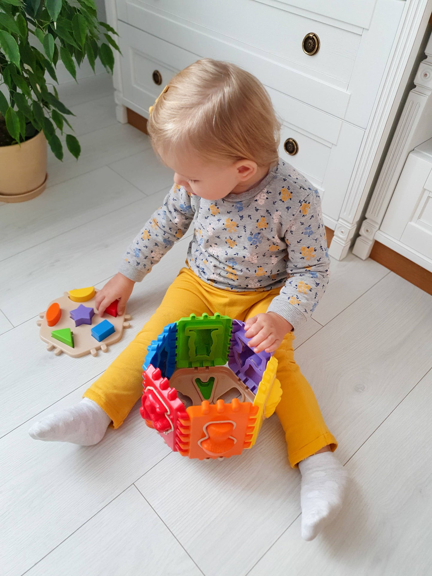 Toy Sorter, Tigres