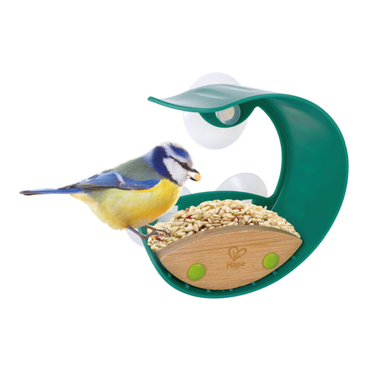 Window Bird Feeder