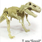 Smithsonian Dinosaur Fossils T-Rex Value Set