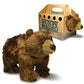 Rescue Grizzly Bear