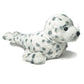 Rescue Baby Harbor Seal