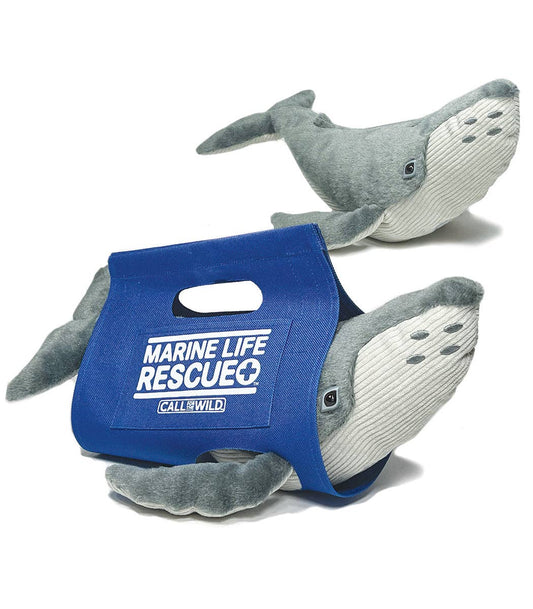 Rescue Humpback Whale