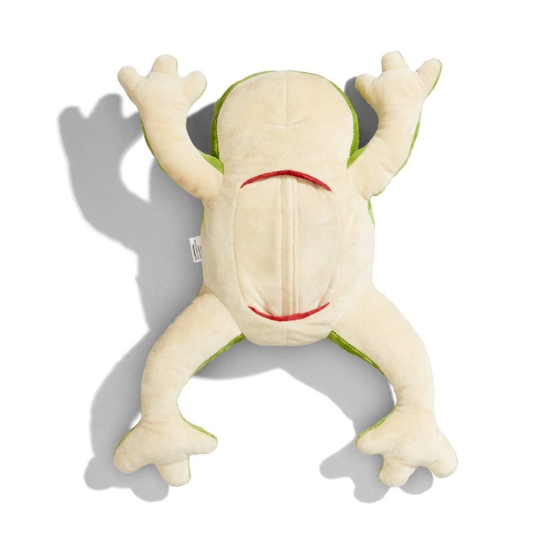Froggie Dissection Lab, Anatomy Learning Toy for Kids
