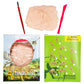 Kids Dinosaurs Fossil Excavation Tool Kit