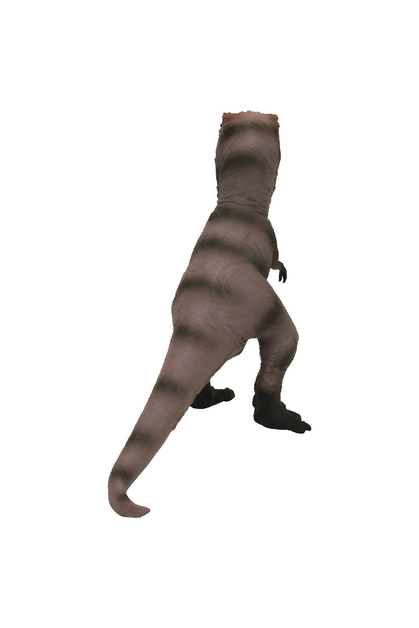 BIG T-Rex Dinosaur Roaring Electronic Sound Toy - 12.5 Inch