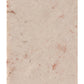 Toysmith Mineral Science Kit
