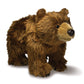 Rescue Grizzly Bear