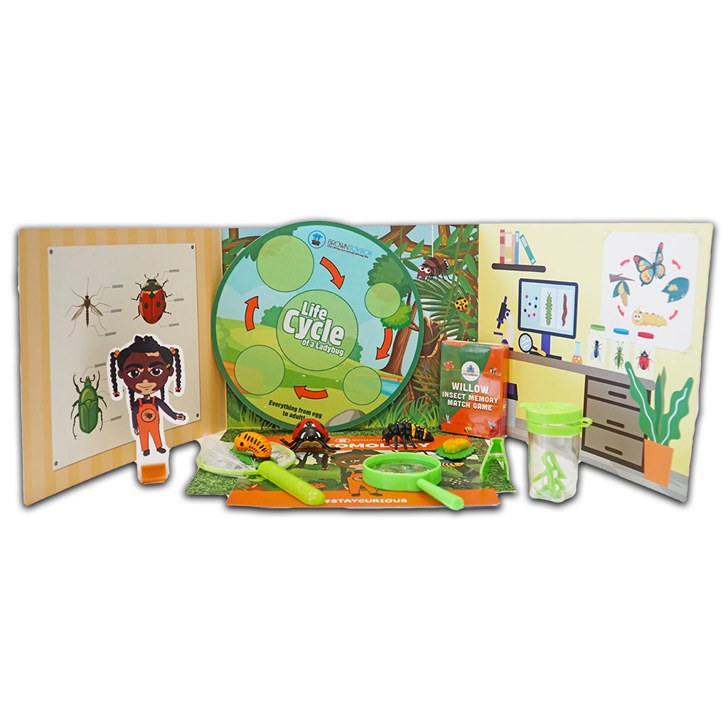 Brown Toy Box Dadisi Academy Willow/Entomology STEAM kit