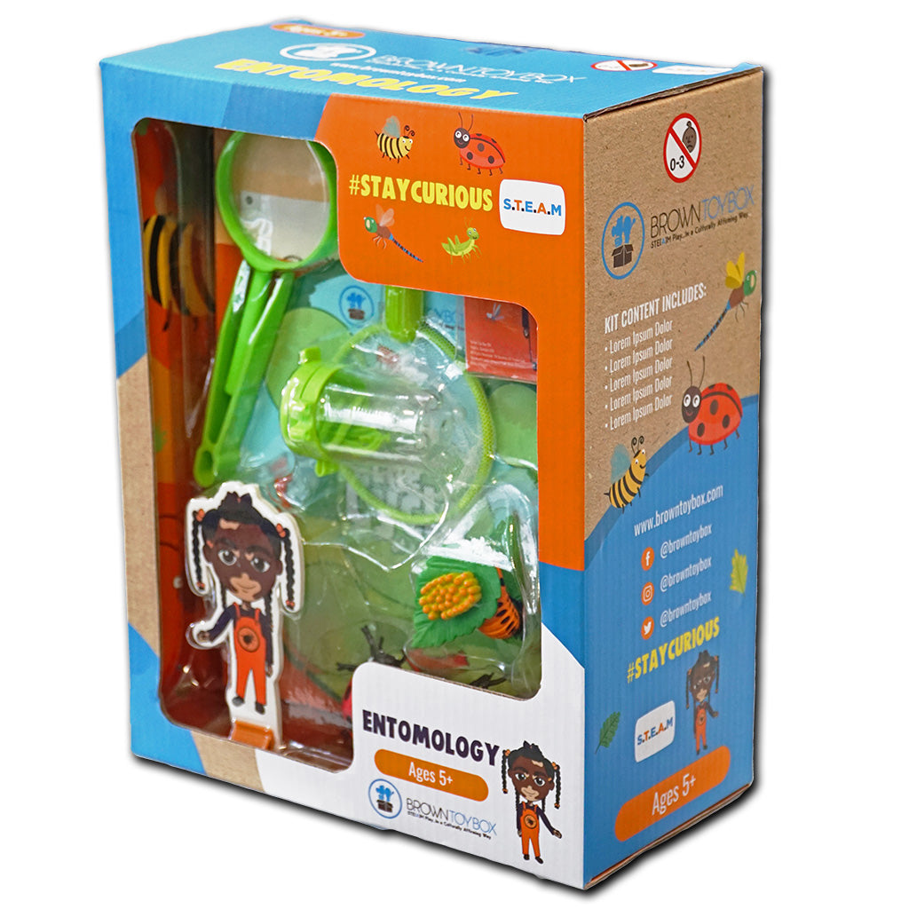 Brown Toy Box Dadisi Academy Willow/Entomology STEAM kit